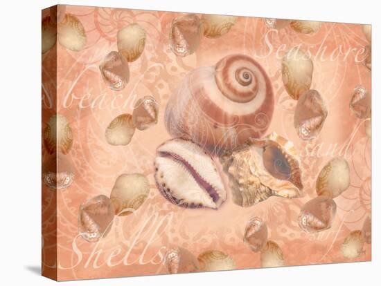 Shells on Shore-Bee Sturgis-Stretched Canvas