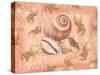 Shells on Shore-Bee Sturgis-Stretched Canvas