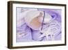 Shells Purple Pearls-FS Studio-Framed Giclee Print