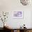 Shells Purple Pearls-FS Studio-Framed Giclee Print displayed on a wall