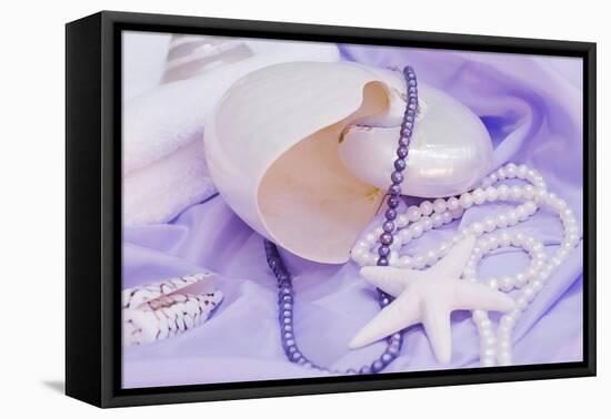 Shells Purple Pearls-FS Studio-Framed Stretched Canvas