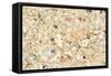 Shells Stranded Sealife Washed Ahore a White-null-Framed Stretched Canvas