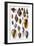 Shells: Trachelipoda-G.b. Sowerby-Framed Art Print