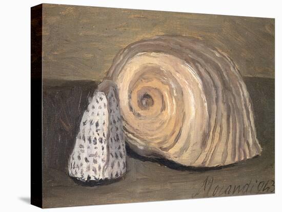 Shells-Giorgio Morandi-Stretched Canvas