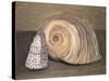 Shells-Giorgio Morandi-Stretched Canvas