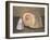 Shells-Giorgio Morandi-Framed Giclee Print