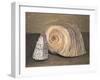 Shells-Giorgio Morandi-Framed Giclee Print