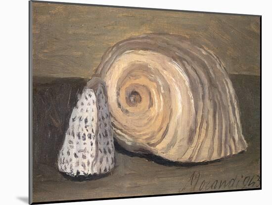 Shells-Giorgio Morandi-Mounted Giclee Print