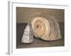 Shells-Giorgio Morandi-Framed Giclee Print