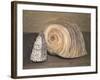 Shells-Giorgio Morandi-Framed Giclee Print