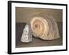 Shells-Giorgio Morandi-Framed Giclee Print