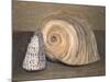 Shells-Giorgio Morandi-Mounted Giclee Print