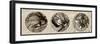 Shells-Alan Hausenflock-Framed Photographic Print