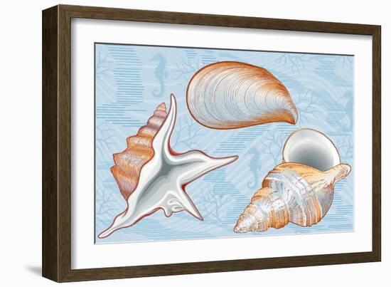 Shells-Milovelen-Framed Art Print