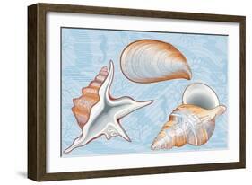 Shells-Milovelen-Framed Art Print