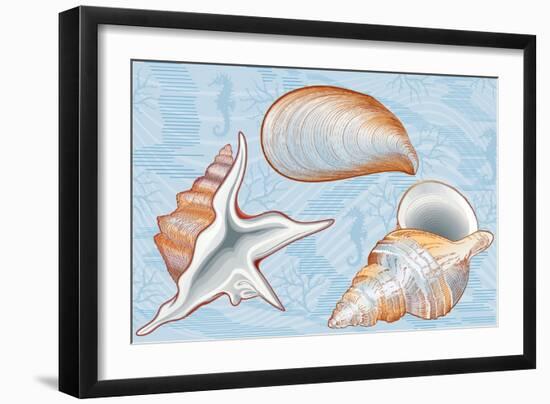 Shells-Milovelen-Framed Art Print