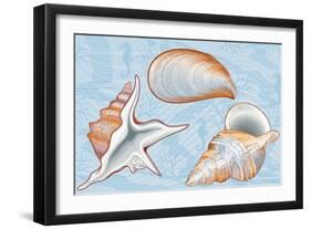 Shells-Milovelen-Framed Art Print