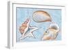 Shells-Milovelen-Framed Art Print