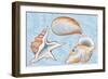 Shells-Milovelen-Framed Premium Giclee Print