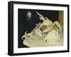 Shells-Glyn Warren Philpot-Framed Giclee Print