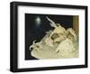 Shells-Glyn Warren Philpot-Framed Giclee Print