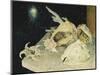 Shells-Glyn Warren Philpot-Mounted Giclee Print