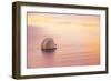 Shellsoft-Chris Moyer-Framed Photographic Print