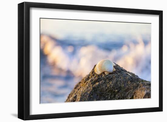 Shellview Surf-Chris Moyer-Framed Photographic Print