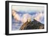 Shellview Surf-Chris Moyer-Framed Photographic Print