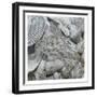 Shelly Coast-Sheldon Lewis-Framed Art Print