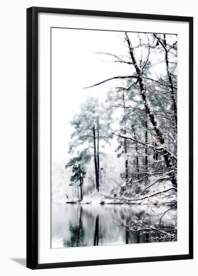 Shelly Lake in Winter I-Alan Hausenflock-Framed Photographic Print