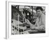 Shelly Manne Playing at the Capital Radio Jazz Festival, London, 1979-Denis Williams-Framed Photographic Print