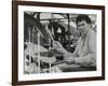 Shelly Manne Playing at the Capital Radio Jazz Festival, London, 1979-Denis Williams-Framed Photographic Print