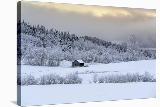 Shelter Ahead-Andreas Stridsberg-Stretched Canvas