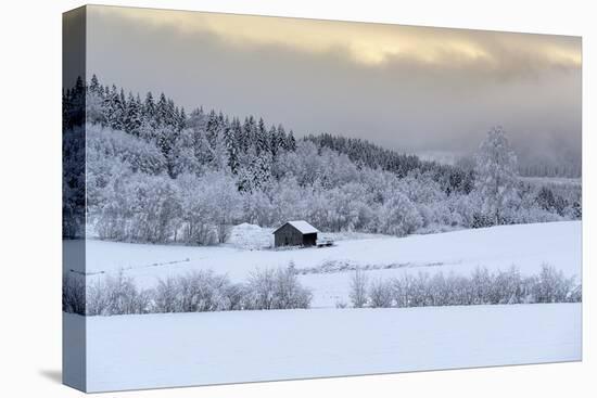 Shelter Ahead-Andreas Stridsberg-Stretched Canvas