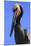 Shelter Island, San Diego, California. Pelican Portrait.-Jolly Sienda-Mounted Premium Photographic Print