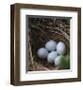 Sheltered Nest-Sarah Hart Morgan-Framed Giclee Print