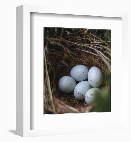 Sheltered Nest-Sarah Hart Morgan-Framed Giclee Print