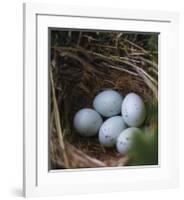 Sheltered Nest-Sarah Hart Morgan-Framed Giclee Print