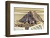 Sheltered Nesting Space and Mourning Dove Family Atop a Security Light-Michael Qualls-Framed Premium Photographic Print