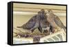 Sheltered Nesting Space and Mourning Dove Family Atop a Security Light-Michael Qualls-Framed Stretched Canvas