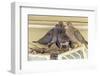 Sheltered Nesting Space and Mourning Dove Family Atop a Security Light-Michael Qualls-Framed Photographic Print