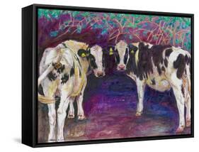 Sheltering Cows, 2011-Helen White-Framed Stretched Canvas