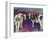 Sheltering Cows, 2011-Helen White-Framed Giclee Print