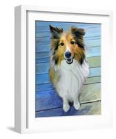 Sheltie the Eyes Have it-Robert Mcclintock-Framed Art Print