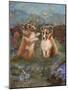 Shelties-Judy Mastrangelo-Mounted Giclee Print