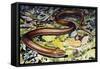 Sheltopusik or European Legless Lizard (Pseudopus Apodus), Anguidae-null-Framed Stretched Canvas