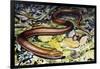 Sheltopusik or European Legless Lizard (Pseudopus Apodus), Anguidae-null-Framed Giclee Print