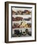 Shelves of Food-null-Framed Premium Photographic Print