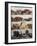 Shelves of Food-null-Framed Photographic Print